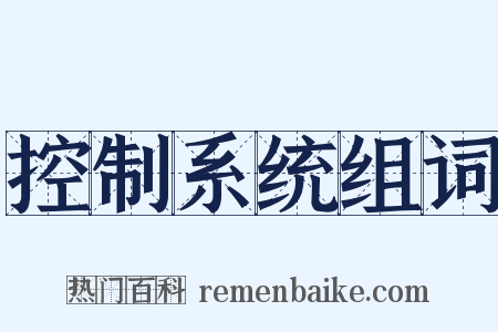 控制系统组词是什么意思的图片